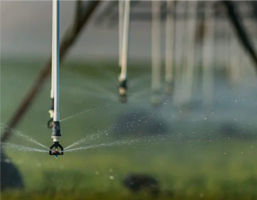 魚米之鄉產業發展項目