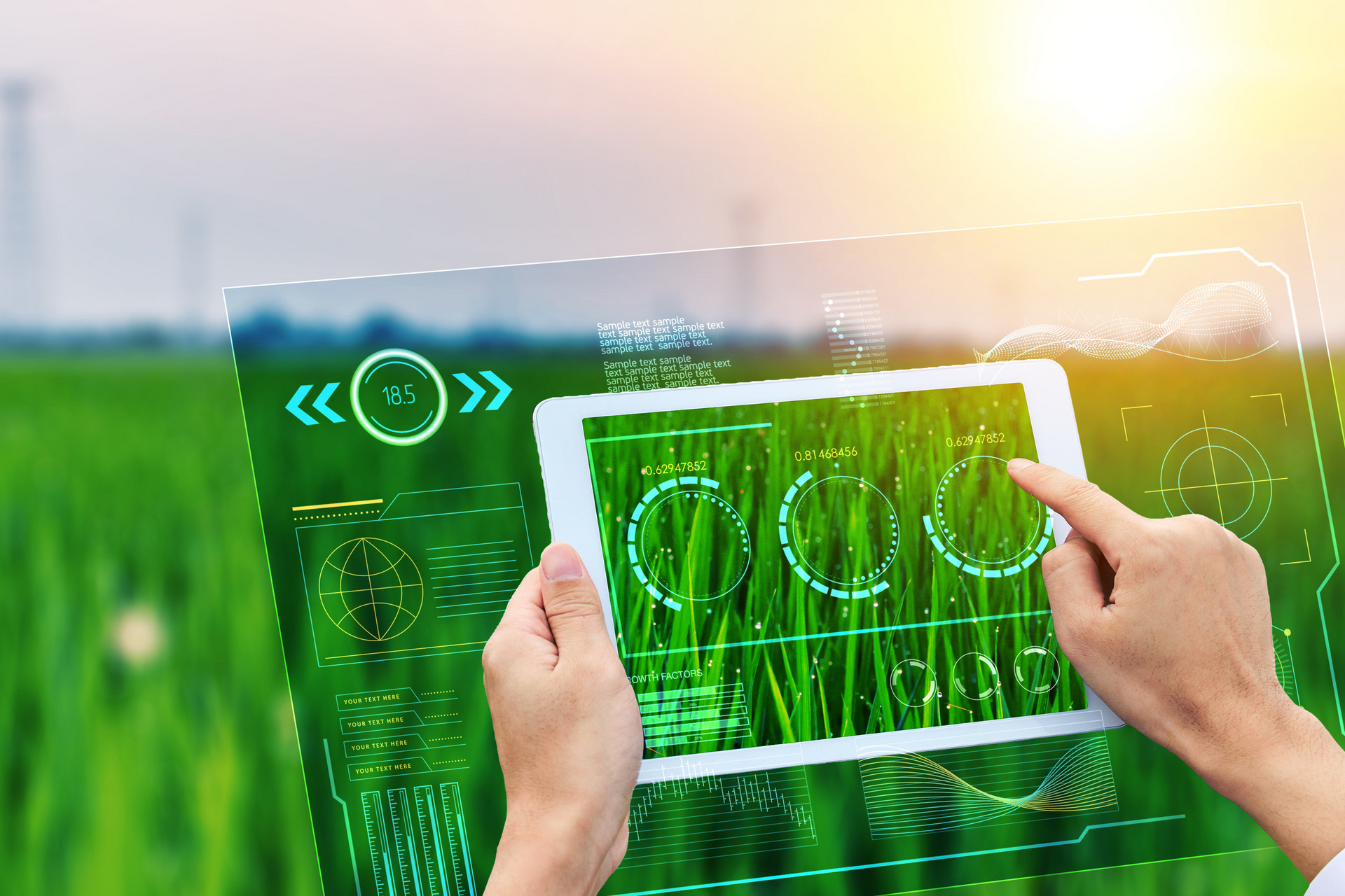 合江縣三江荔枝現代農業園區物聯網項目