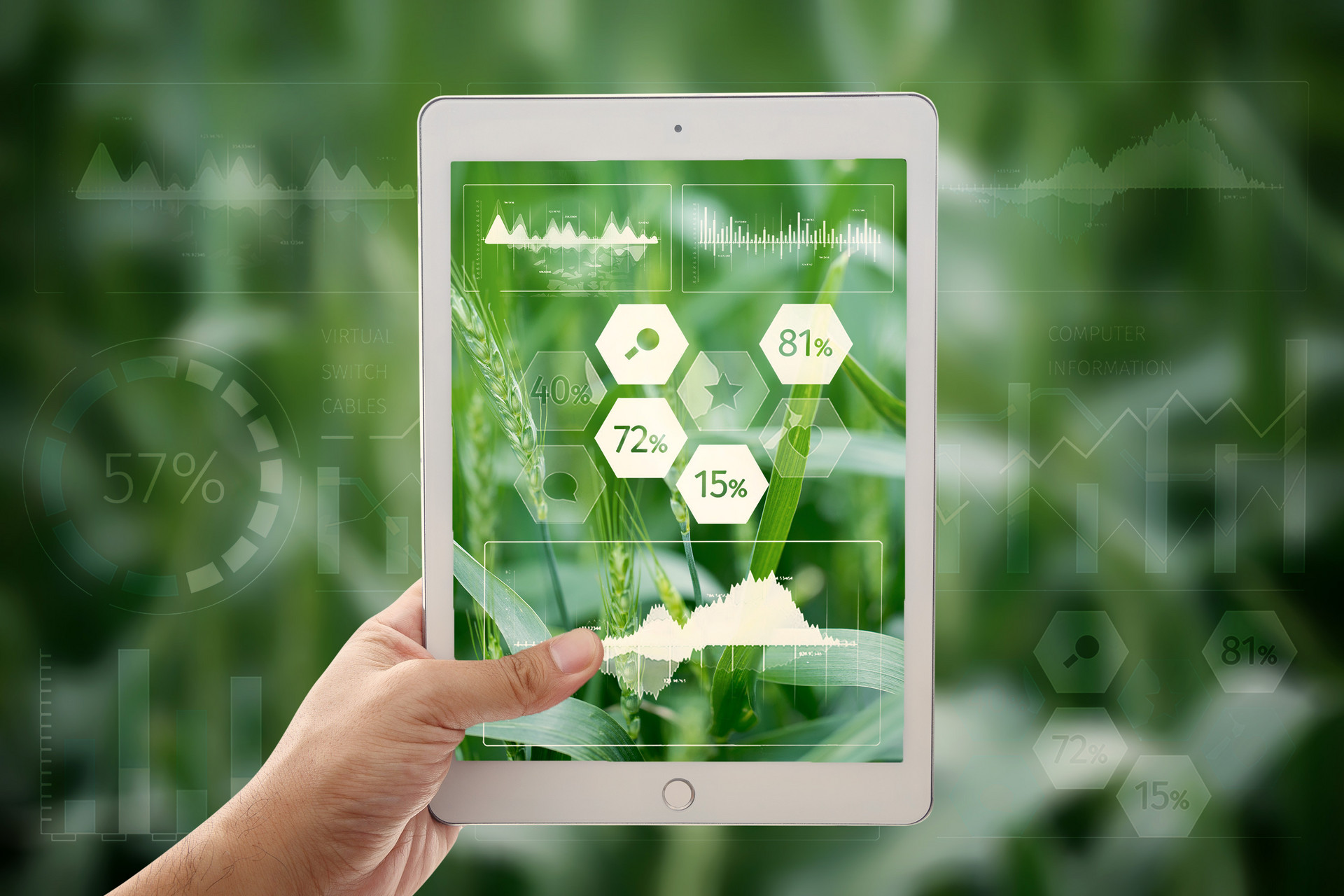 金川縣高標準農田建設規劃（2021-2030年）